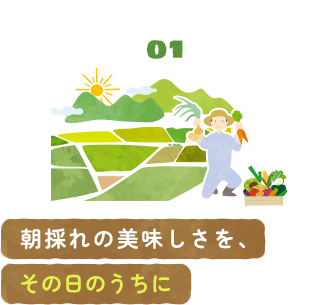 01 朝採れの美味しさを、その日のうちに