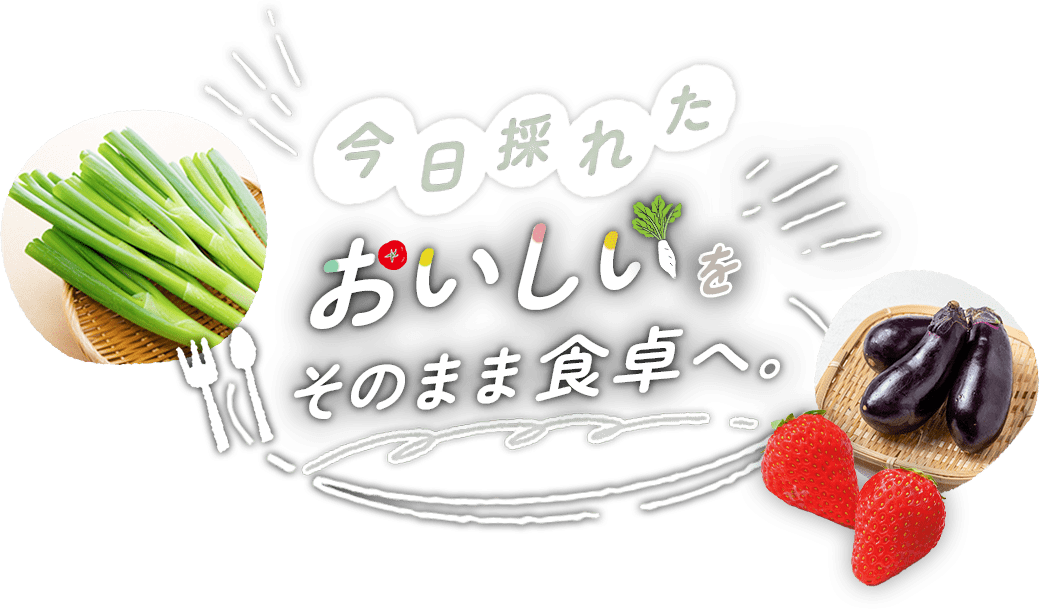 今日採れた“おいしい”をそのまま食卓へ。